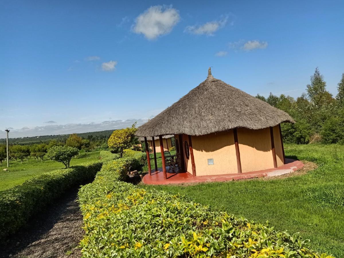 The Great Circle Lodge Nanyuki Zewnętrze zdjęcie