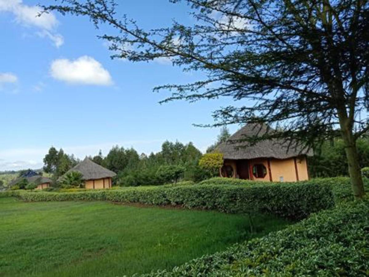 The Great Circle Lodge Nanyuki Zewnętrze zdjęcie